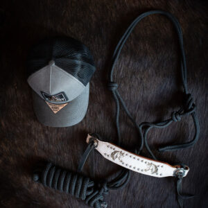 Paddock Training Bundle